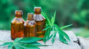 How CBD Is Transforming The Fitness Supplement Industry?